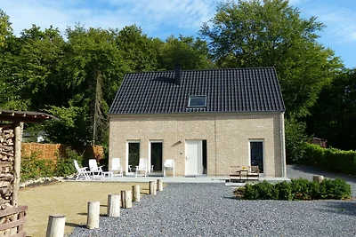 Nieuw huis aan de rand van een groot bos, gro...