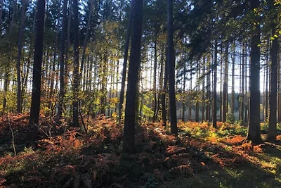 Modernes Holzchalet im Wald, mit Holzofen