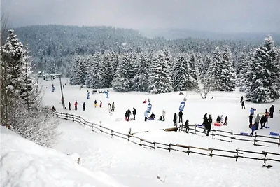 In der Region (Winter) (>5 km) In der Region (Winter) (>5 km)