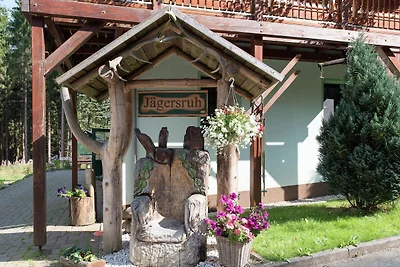 Ferienwohnung in Sachsen mit...