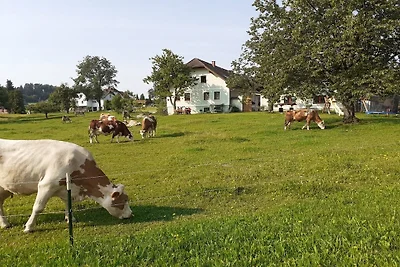 Auf dem Biobauernhof Mayerhofer