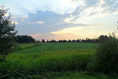 Schönes Ferienhaus inmitten der Natur