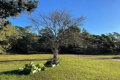 4 Sterne Ferienhaus in VISBY