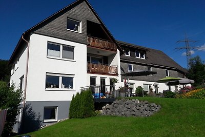 Gezellig appartement in Sauerland met...