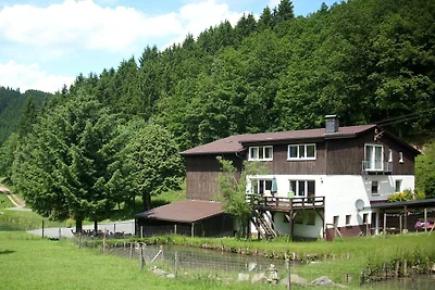 Apartment in Bruchhausen mit Terrasse