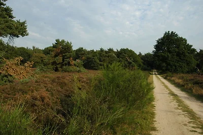 Suggestivo bungalow vicino al Veluwe