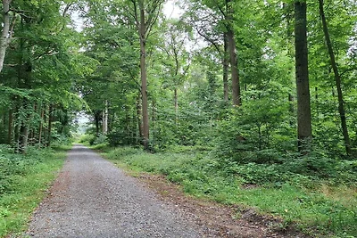 6 Personen Ferienhaus in Dannemare