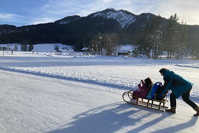 Vakantiehuis in Seeboden aan de Millstätter...