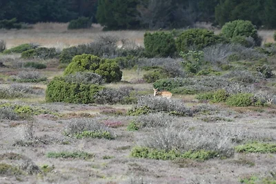5 Sterne Ferienhaus in Hadsund