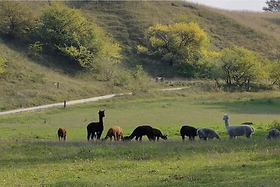4 Personen Ferienhaus in Skibby