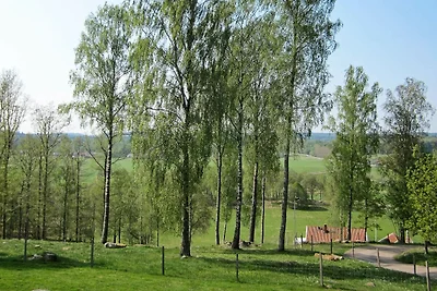 4 Personen Ferienhaus in Romelanda-By Traum
