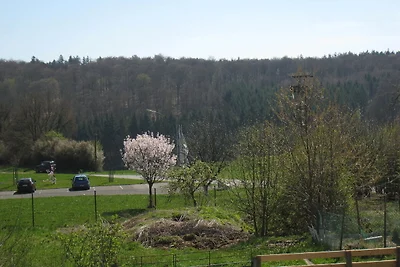 Spaziosa casa vacanze a Stipshausen con...