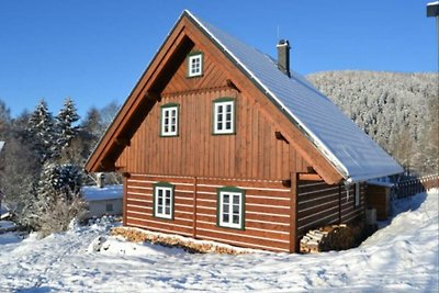 Kinderfreundliche Villa in Horní Maršov