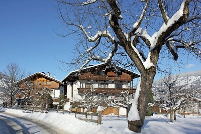 Schöne Ferienwohnung in Fügen / Zillertal