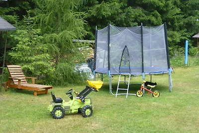 Ferienhaus mit Schwimmbad in Jägersgrün