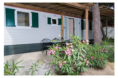 Villaggio Vacanze Mare Pineta Ametista