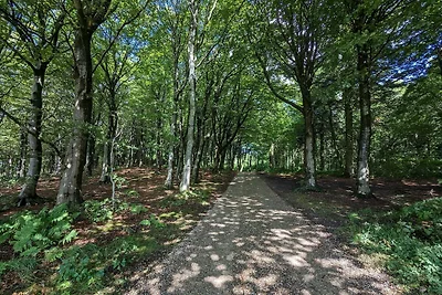 8 persone case ad Vestervig