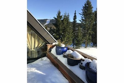 Vista da sogno Rifugio moderno