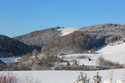 Wohnung in Willingen am Ettelsberg Skilift