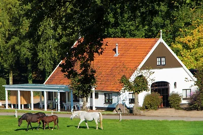 Chalet accogliente con camino a gas a Twente