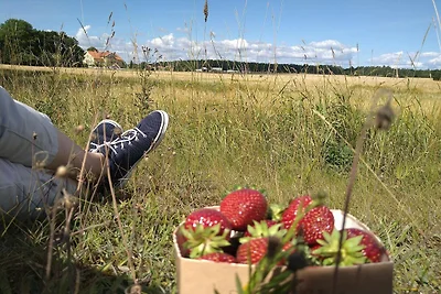 5 Personen Ferienhaus in ESKILSTUNA