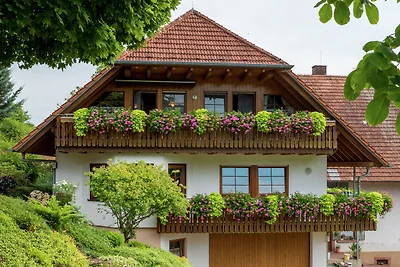 Charmantes Apartment im Schuttertal mit...