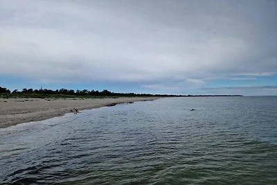 Strandparadies in Marielyst-By Traum