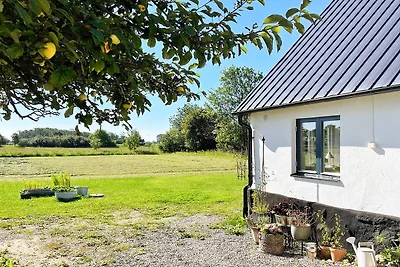 5 Personen Ferienhaus in Löderup-By Traum