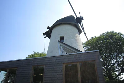 Ferienhaus in den flämischen Ardennen...