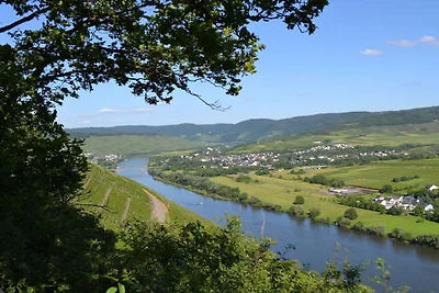 Mit Balkon Weingut Mathy-Schanz