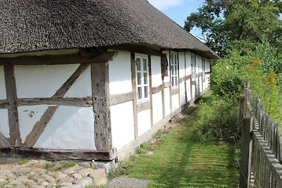 Gezellig huisje met rieten dak