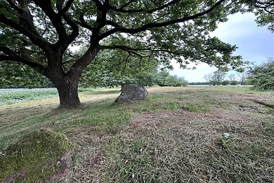 5 Sterne Ferienhaus in Hovborg-By Traum