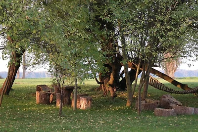 Geräumige Ferienwohnung in Boddin mit Garten