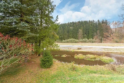 Appartamento a Rauschenbach Sassonia vicino
