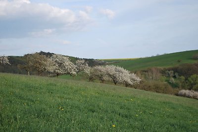 Caratteristico appartamento in Turingia con...