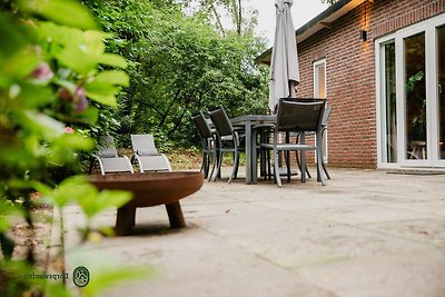 Vakantiehuis in Leende met speeltuin