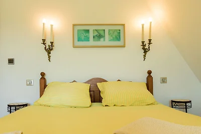 Prachtig vakantiehuis met zwembad in Thenon