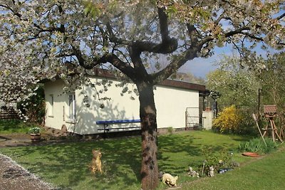 Familie-idylle Modern toevluchtsoord