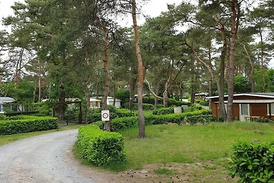 Mobilheim mit Gemeinschaftspool (6 Personen)