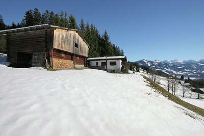 Chalet in Hopfgarten/Brixental in skigebied