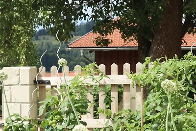 Bauernhof mit 1 Schlafzimmer