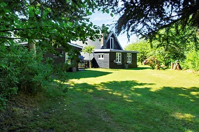 6 Personen Ferienhaus in Hemmet-By Traum