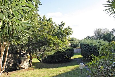 Appartement  mit Meerblick in Cannigione-ehem...