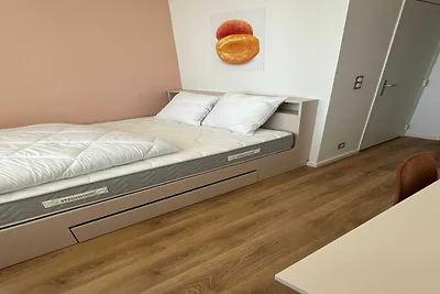 Vakantiehuis Ontspannende vakantie Mulhouse