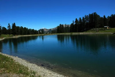 Appartamento in legno ben tenuto