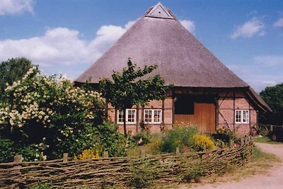Ute von Lingelsheim