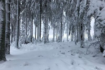 Rifugio solitario ai margini del bosco