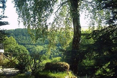 Wohnung mit Tierpark und Sonnenterrasse