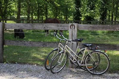 Ferienhaus mit Schwimmbad
