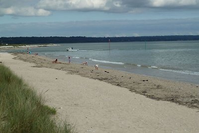 Schitterende villa aan zee in Poggio-Mezzana